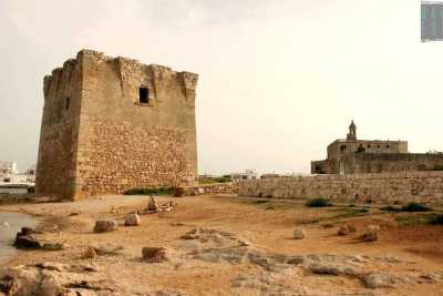 Alte, isolate e affacciate sul mare: sono le 6 antiche torri di avvistamento di Bari